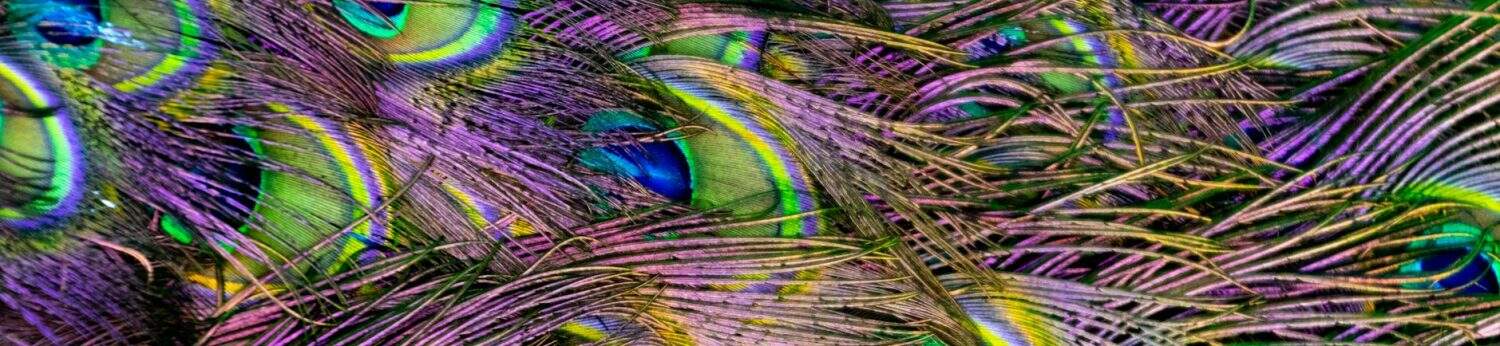 The Krishna Bhakti site